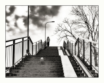 Ветер перемен / ***