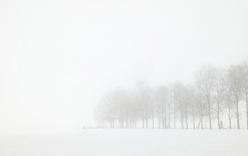 Туманное. / ***