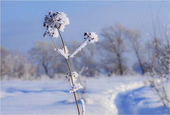 Зимний этюд / ***