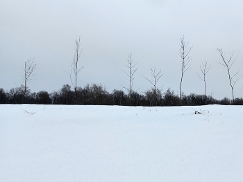 Южная Битца / ***