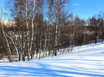 Митинский ландшафтный парк / ***