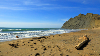 У мыса Хамелеон / Крым, Коктебель, Тихая бухта