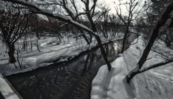В парке. / Парк природного заказника реки Сетунь.