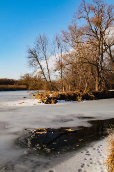 Первые проталины / ***