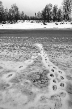 Пейзажизнь / ***