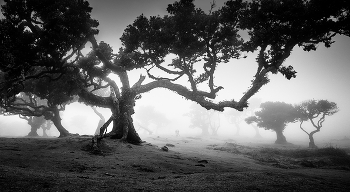 Волшебство Португалии... / ***