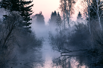 .....похож на обман / ***