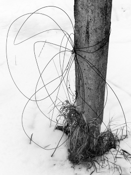 Пейзажизнь / ***