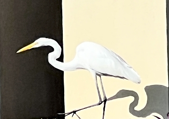 &nbsp; / Interplay between the bird and its shadow