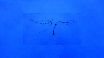 на рабочем столе / ***