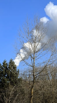 гармония / ***