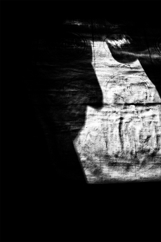 Пейзажизнь / ***