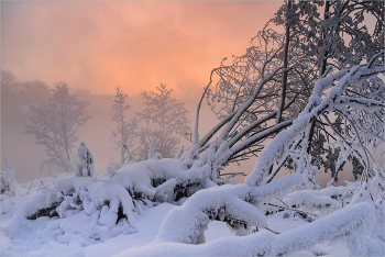 На рассвете в морозном январе / Январь. Рассвет. Туман. Мороз -30...