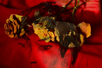 Красное пальто. / ***