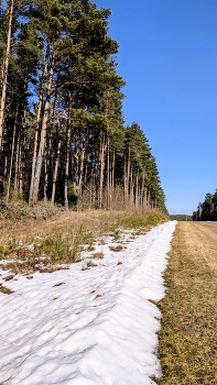 почтивесна / ***