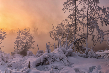 В снежных дебрях января. / Январь. Рассветные золотые краски восходящего Солнца. Морозно.
