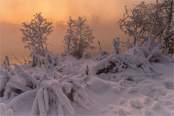 Причудливые заиндевелые формы январского рассвета. / Январь. Морозно -30... Иней, снег, туман, подсвеченный золотыми лучами восходящего Солнца.