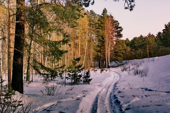 Вечер. / Томская область.