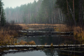 Осенний Суходол / Ноябрьские прогулки.