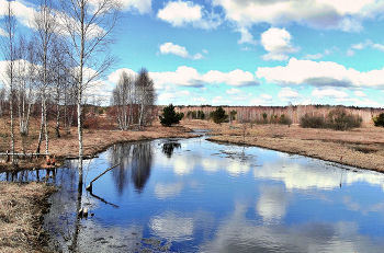 Весеннее отражение / Весеннее отражение