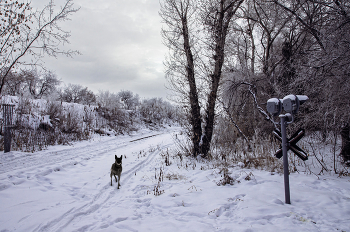 Забытая дорога / ***