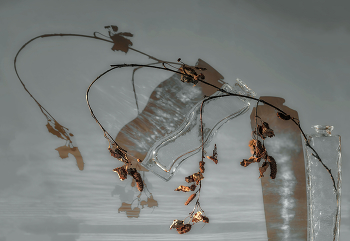 Веточка. / Натюрморт.