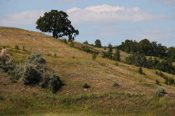 Одинокое / ***