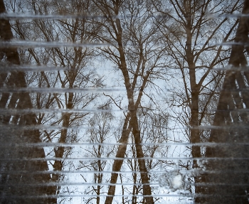 отражение весны / ***