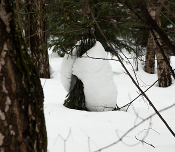 мороз снежком укутывал / ***