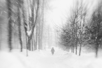 Когда деревья были большими / ***