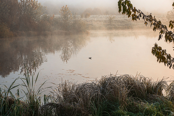 Осенние заморозки. / ***