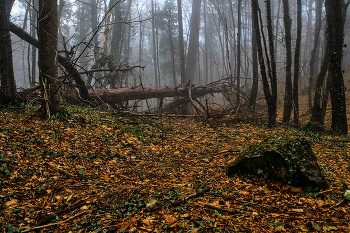 &nbsp; / Крым, Ай-Петри. Возможно репост