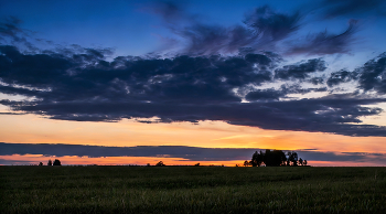Силуэты / Снято летом на закате