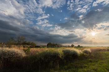 Когда цветёт терновник / ***