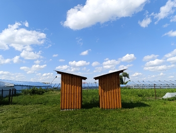 Шах и мат или двойной удар / ***