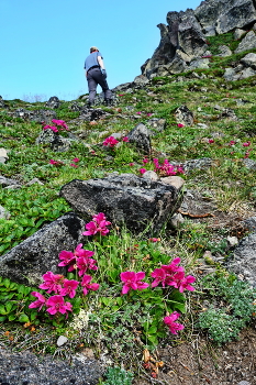 Путь к вулкану. / На Камчатке, в каждую вылазку, меня с семьёй сопровождал новый гид. Слава запомнился бесконечной любовью к своему краю и доскональным знанием местной природы и её флоры. С ним мы ходили на Авачинский вулкан. И хотя, при подъезде к нему, у Вячеслава случилась неприятность с машиной, он постарался, чтобы это никак не отразилось на наших планах и впечатлениях.
