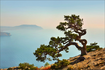 Скалолазка... / Еще одно "хокку" со склона Сокола про то, почему надо иногда ходить в горы...