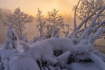 Замороженный монстр... / Январский рассвет. Морозно. -30...