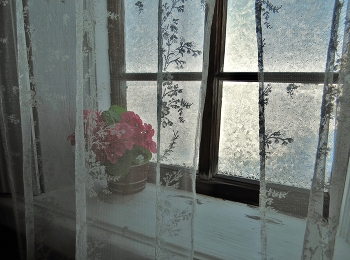 герань / Музей-заповедник «КИЖИ»