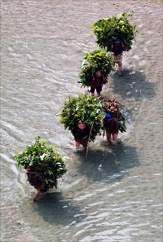 Переправа / Непал. Путевые зарисовки.