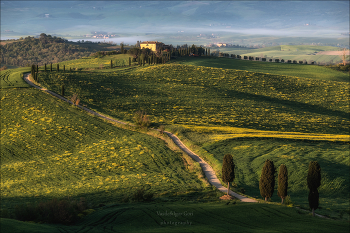 Вдаль ведет меня дорога / Утренний свет озаряет холмы Тосканы, где извилистая дорога, словно лента, уходит вдаль, ведя к старинной вилле на вершине.