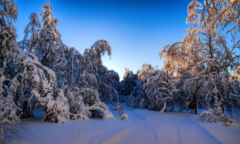 На распутье / ***