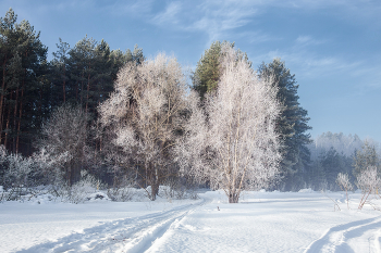 Мартовские утренники / Морозным утром