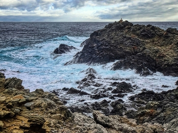 &nbsp; / Parc Natural de s'Albufera des Grau - Menorca (Balears)