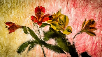 С праздником!!! / свет