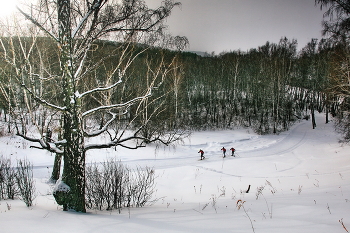 Зимним днём. / Томская область.