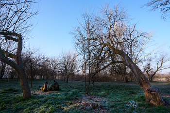 морозно 8 марта / ***