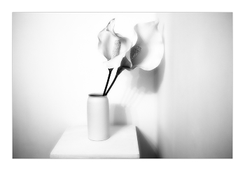 &nbsp; / С Праздником, любимые женщины!