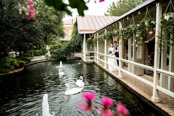 Свадебная прогулка / Свадебная прогулка