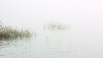 Осенние туманы / на озере